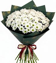 Букет цветов из:  Хризантемы #REPLACE_PRED# Кузнецово