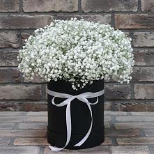 Цветочная композиция из Гипсофила в шляпной коробке #REPLACE_PRED# Кузнецово